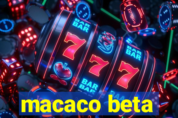 macaco beta