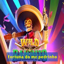 fortuna do mc pedrinho