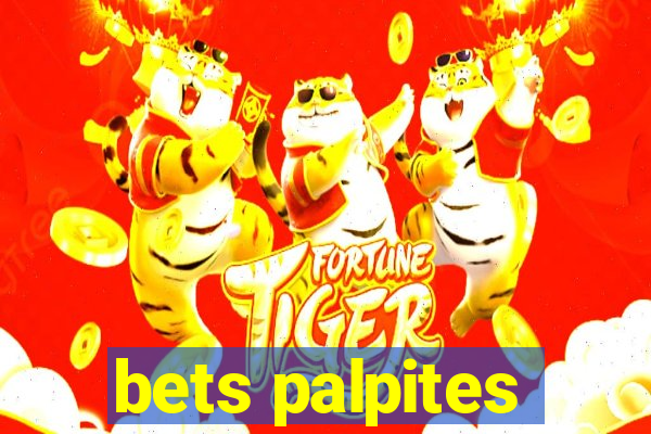 bets palpites