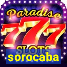 sorocaba popula莽茫o 2024