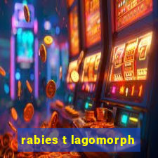 rabies t lagomorph