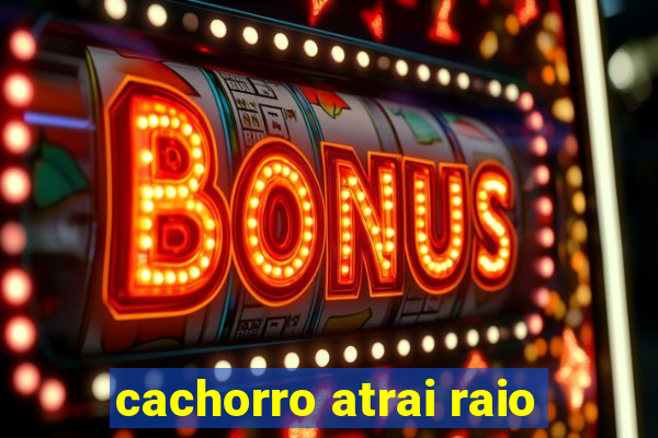 cachorro atrai raio