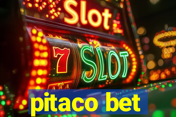 pitaco bet