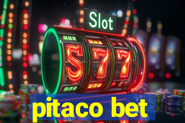 pitaco bet