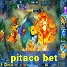 pitaco bet