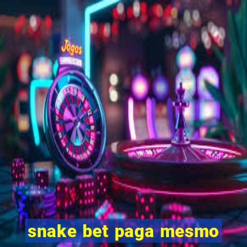 snake bet paga mesmo