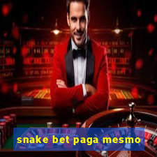 snake bet paga mesmo