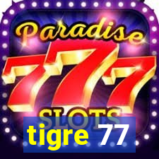 tigre 77