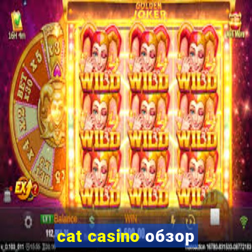 cat casino обзор