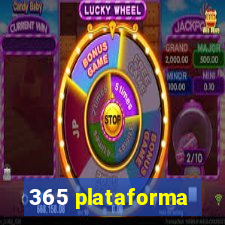 365 plataforma