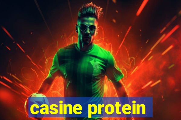 casine protein