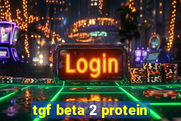 tgf beta 2 protein