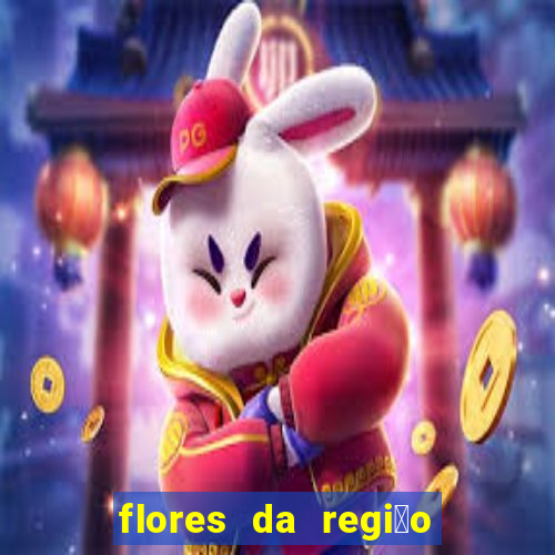 flores da regi茫o sul do brasil