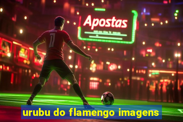 urubu do flamengo imagens