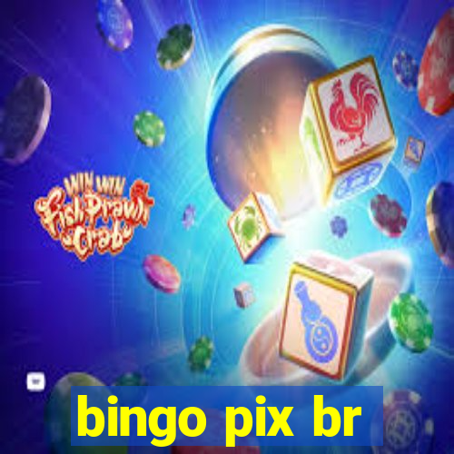 bingo pix br