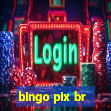 bingo pix br