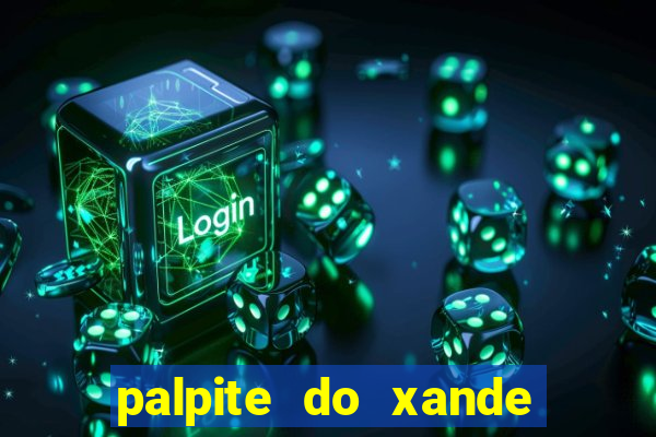 palpite do xande de hoje