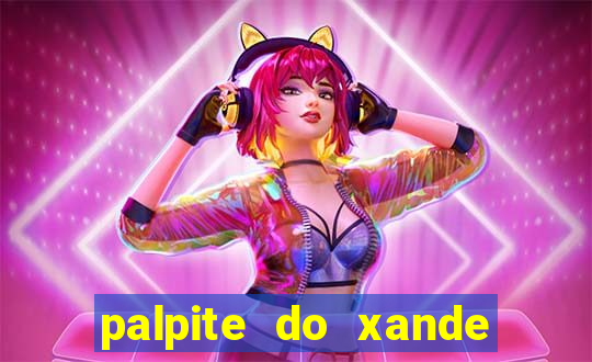 palpite do xande de hoje