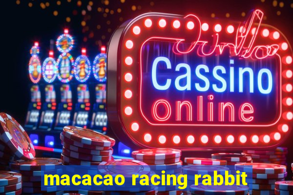 macacao racing rabbit