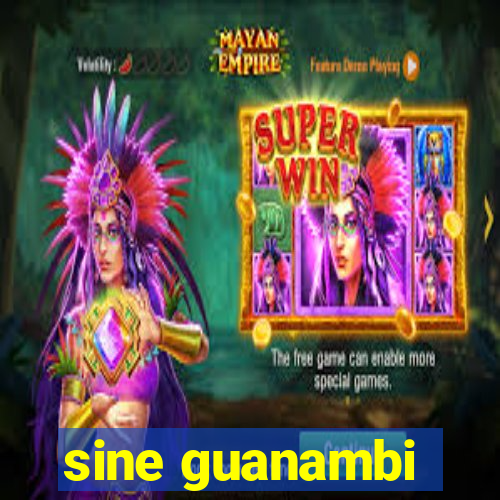 sine guanambi