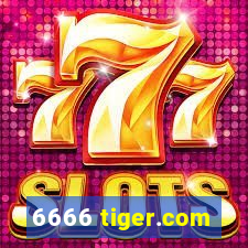 6666 tiger.com