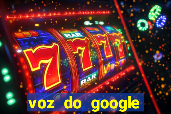 voz do google tradutor homem