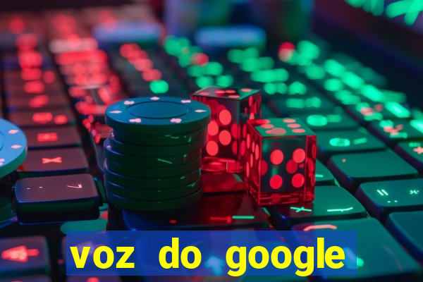 voz do google tradutor homem