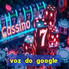 voz do google tradutor homem