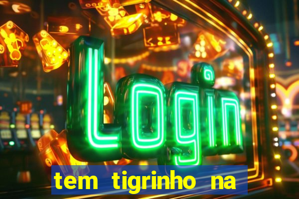 tem tigrinho na bet 365