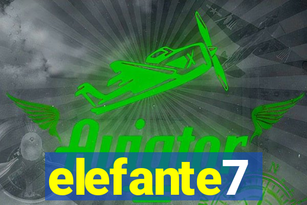 elefante7