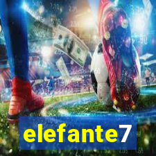 elefante7