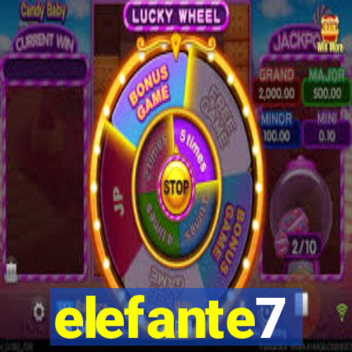 elefante7