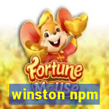 winston npm