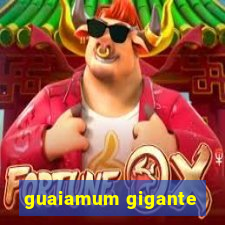 guaiamum gigante