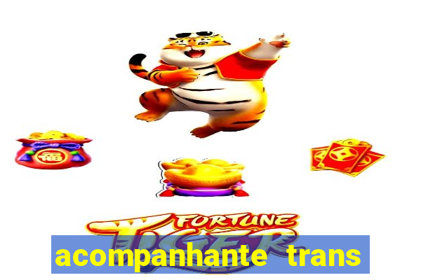 acompanhante trans santos sp