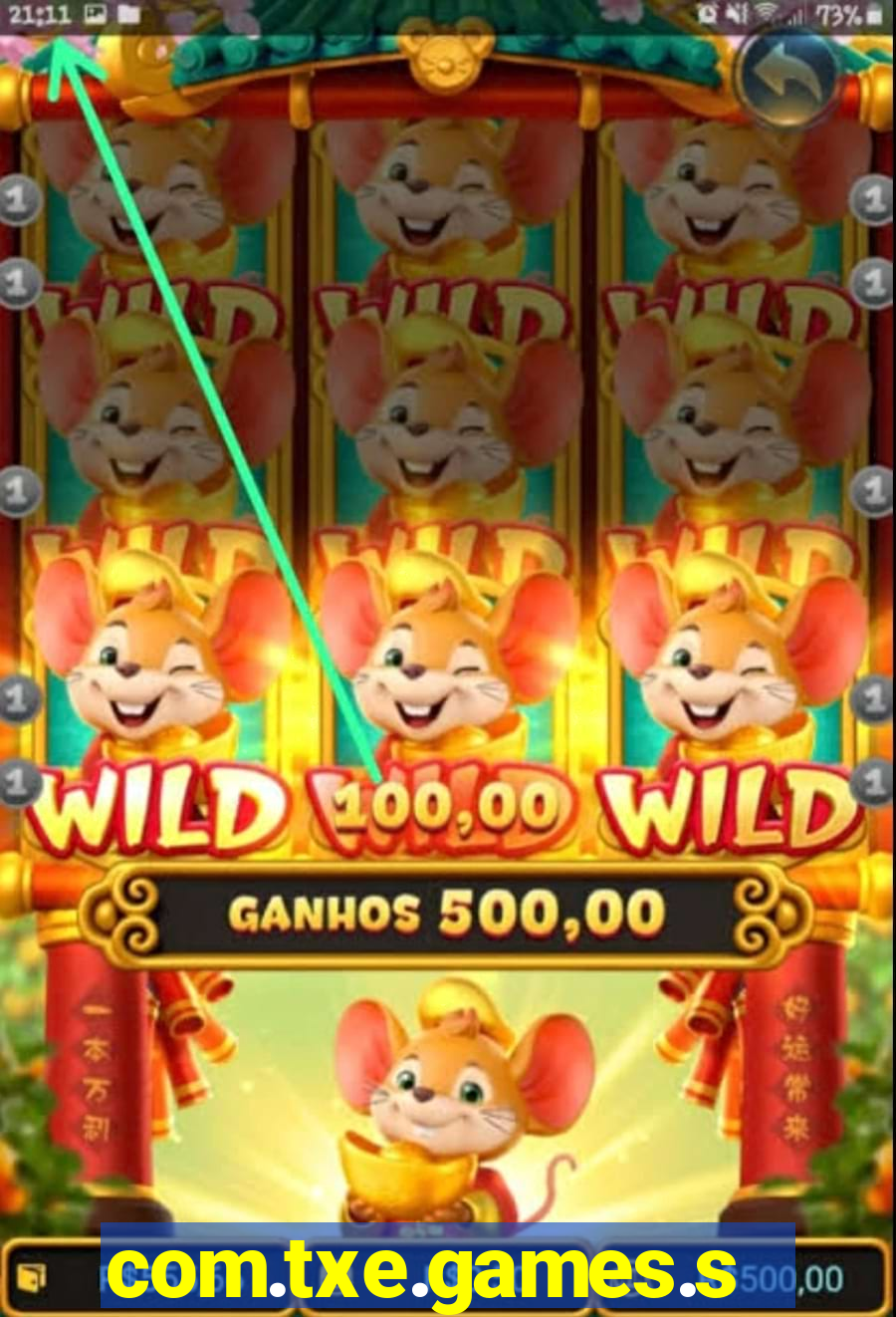 com.txe.games.slots.wild