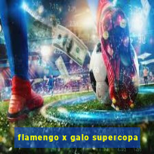 flamengo x galo supercopa