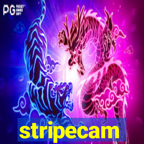 stripecam