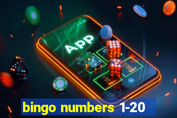 bingo numbers 1-20