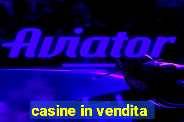 casine in vendita