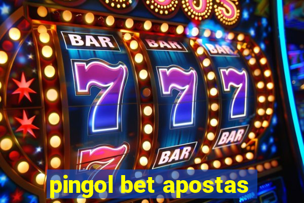 pingol bet apostas