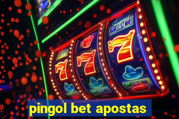 pingol bet apostas