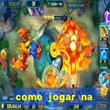 como jogar na loteria gringa online