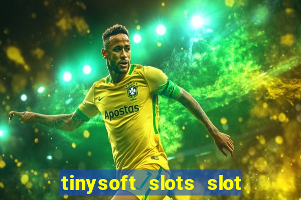 tinysoft slots slot machines & casino games