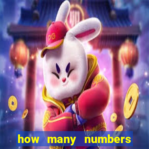 how many numbers in bingo