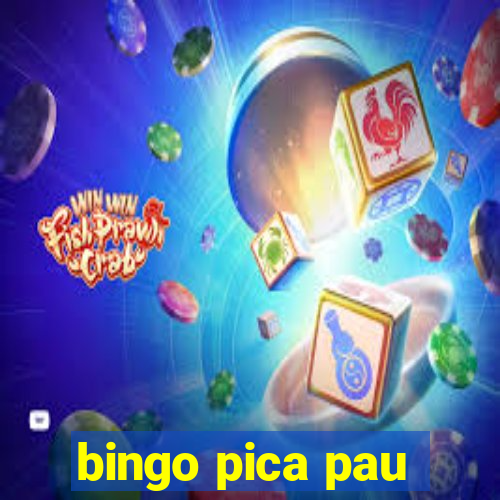 bingo pica pau