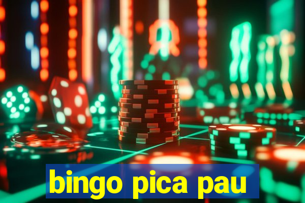 bingo pica pau