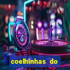 coelhinhas do brasil acompanhantes