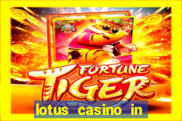 lotus casino in las vegas