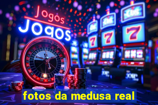 fotos da medusa real